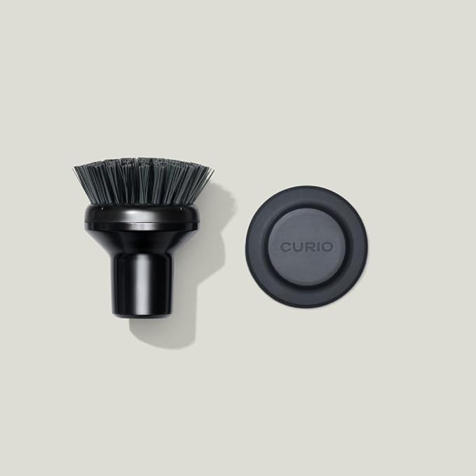 Curio Home Goods Ionic Palm Brush, Magnetized to Stand Upright, Stainless Steel with Replaceable Head, Onyx/Black