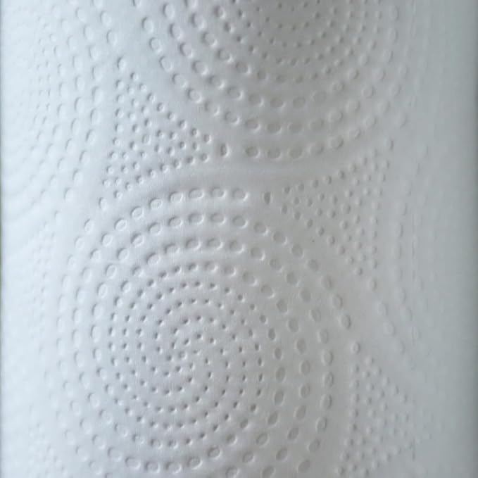 Genuine Joe-GJO24080 2-Ply Household Roll Paper Towels (Pack of 30) - WHITE