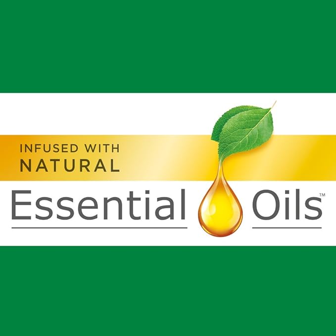 Air Wick Plug in Scented Oil Refill, 2 ct, Summer Delights, Air Freshener, Essential Oils (Pack of 2)