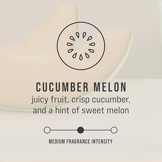 Rubbermaid Commercial Products TCell Air Freshener Refill, Cucumber Melon, Odor Neutralizing, Long Lasting, Battery Free, Consistent, for Restrooms in Restaurants/Schools/Airports/Offices