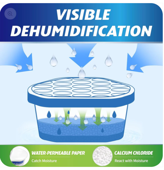 Why Your Home Feels Damp (And How to Fix It Fast)-1