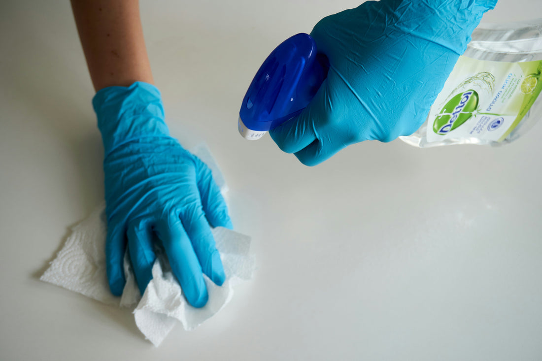 “How to Keep Your Refrigerator Organized and Odor-Free”