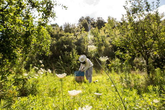 How to Select Eco-Friendly Cleaning Products