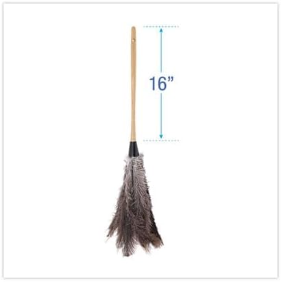 Boardwalk Professional Ostrich Feather Duster, 16" Wood Handle, Hanging Hole, Lightweight, Comfortable, Attracts & Hold Dust