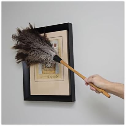 Boardwalk Professional Ostrich Feather Duster, 16" Wood Handle, Hanging Hole, Lightweight, Comfortable, Attracts & Hold Dust