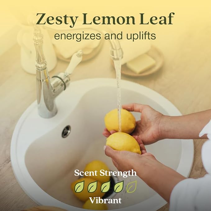Enviroscent Non-Toxic Air Freshener Paper Refills - Compatible with Enviroscent Plug Hub® Warmer Kit - Home Fragrance Lasts Up to 90 Days - Lemon Leaf & Thyme Scent (Pack of 2)