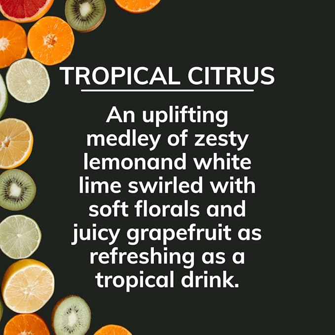 Citrus Magic On The Go Odor Absorbing Solid Air Freshener, Tropical Citrus, 8-Ounce