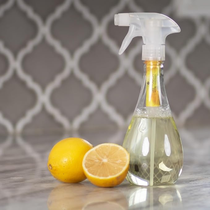 JAWS Dish Spray Refill Pack. Includes 2 Refill Pods. Refillable Cleaning Supplies.