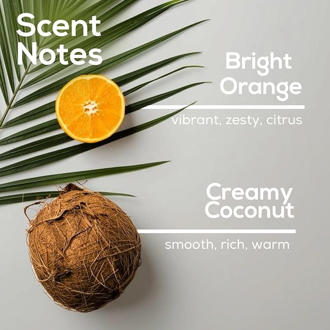 Scent Fill Island Essence Plug in Air Freshener, 4 Scented Oil Refills