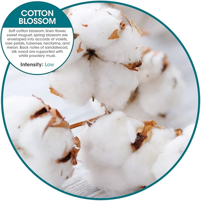 Fresh Products myfreshe Plug in Air Freshener Worry free No Heat No Glass Dry Fragrance Refills For Small Spaces Made in the USA Cotton Blossom 2 pack