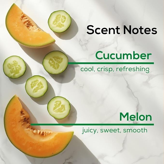 Scent Fill Cucumber Melon Plug in Air Freshener, Scented Oil Refills, 4 Refills