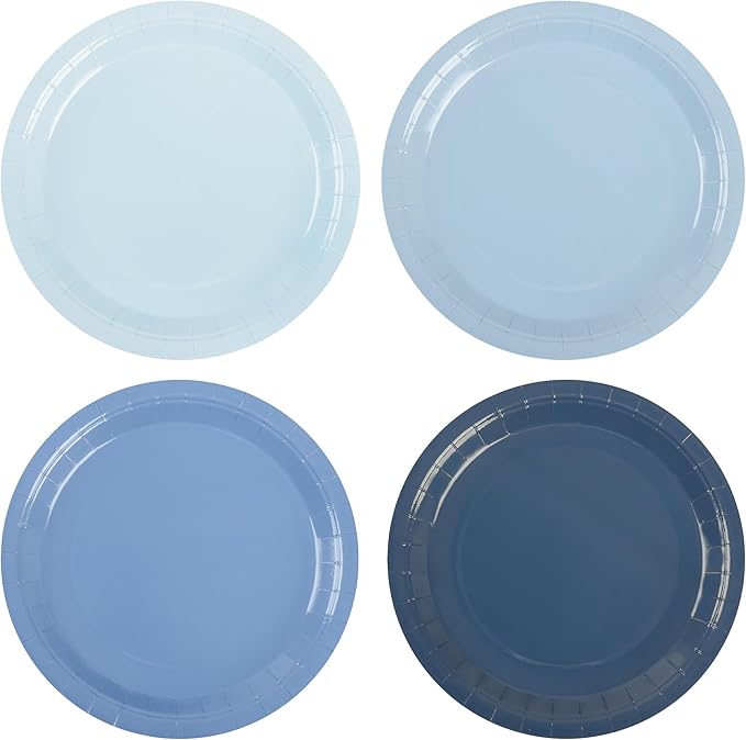 AimFun 48Pcs Dusty Blue Paper Plates Gradient Blue Party Plates 9 Inch Disposable Pastel Birthday Plates Round Dinner Dessert Plates for Wedding Baby Bridal Shower Party Supplies Tableware Decor