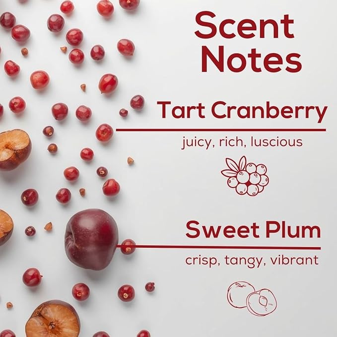 Scent Fill Cranberry Plum Plug in Air Freshener, 4 Scented Oil Refills