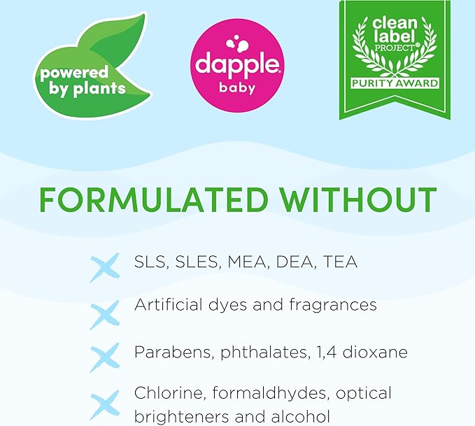 Dapple Baby Fragrance-Free Foaming Bottle & Dish Spray - (2 Pack) 16.9 fl oz - Plant-Powered Cleaner for Baby Bottles, Pump Parts, and Sippy Cups - Includes 1 Pump
