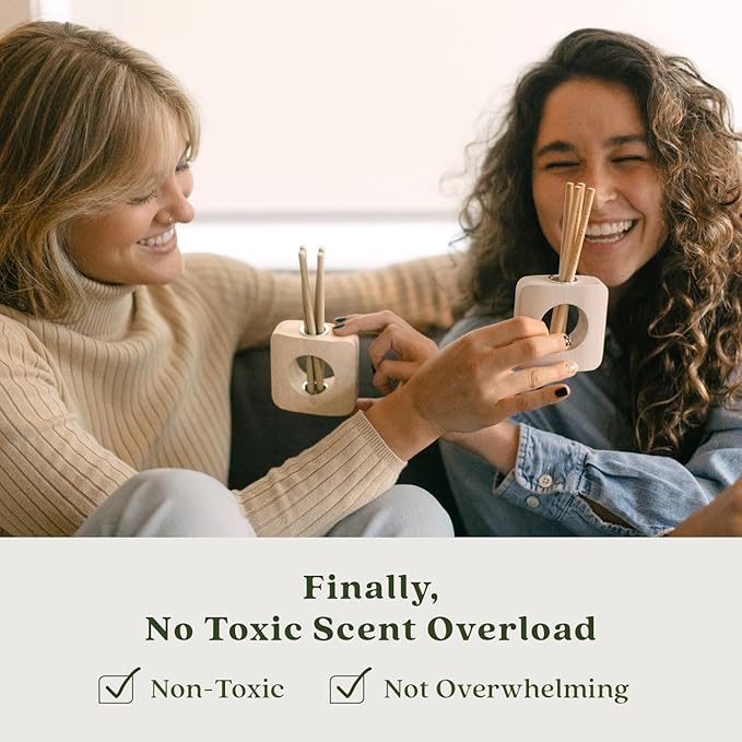 Enviroscent Non-Toxic Air Freshener Scent Stix™ Refills - Compatible with Enviroscent Scent Stix™ Liquid-Free Diffuser Kit - Fragrance Lasts Up to 60 Days - Lemon Leaf & Thyme (Pack of 2)