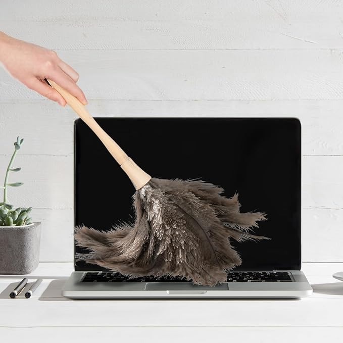 Superio Ostrich Feather Duster Fluffy Dust Remover, with Wooden Handle Reusable for Cleaning Homes, Ceilings, and Furniture (6 Pack)