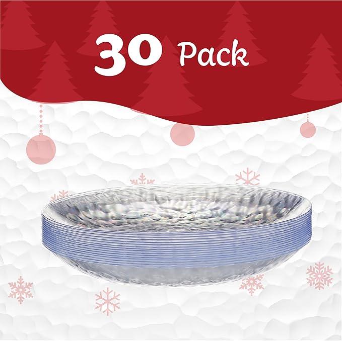 PLASTICPRO 30 Pack Heavyweight Disposable Plastic Plates - Elegant Clear Hammered Platsic Party Dishes (Clear, 10'' INCH PLATES)