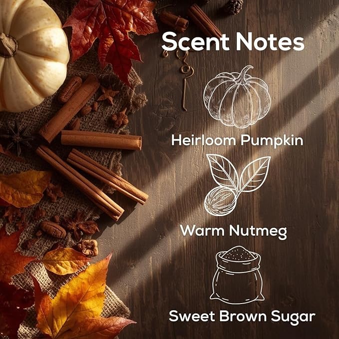 Scent Fill Sweet & Spicy Cinnamon Nutmeg Plug in Air Freshener, 4 Scented Oil Refills