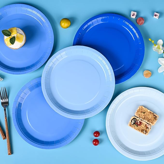 AimFun 24Pcs Blue Party Plates Gradient Blue Paper Plates 9 Inch Disposable Round Dinner Dessert Plate for Summer Beach Ocean Birthday Wedding Baby Shower Hanukkah Party Supplies