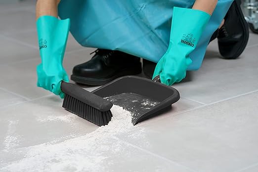 SPARTA Handheld Dustpan with Handle, Cleaning Essentials for Home and Commercial Use, 10", Black