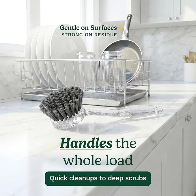 Cuisinart Dish Brush with Handle 2 Pack – Kitchen Scrub Brush for Dishes, Pots & Pans, Non-Scratch Dish Scrubber, Firm Bristles for Sink & Cookware, Comfortable Grip for Everyday Cleaning