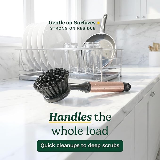 Cuisinart Dish Brush with Handle 2 Pack – Kitchen Scrub Brush for Dishes, Pots & Pans, Non-Scratch Dish Scrubber, Firm Bristles for Sink & Cookware, Comfortable Grip for Everyday Cleaning