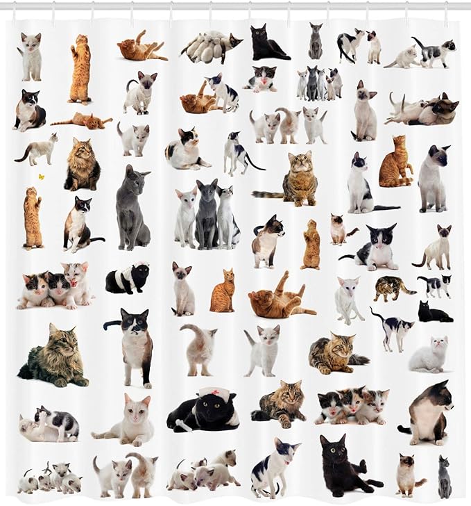 Ambesonne Cat Lover Shower Curtain, Group of Cats and Kitten Lying Down Meowing Purebred Norwegian Siamese, Cloth Fabric Bathroom Decor Set with Hooks, 69" W x 75" L, Marigold White