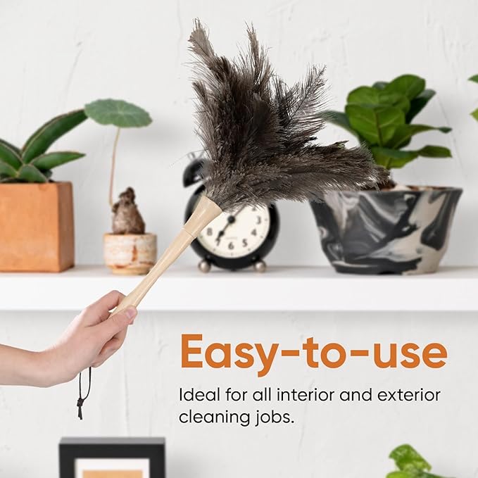 Superio Ostrich Feather Duster Fluffy Dust Remover, with Wooden Handle Reusable for Cleaning Homes, Ceilings, and Furniture (6 Pack)