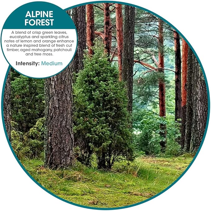 Fresh Products myfreshe Plug in Air Freshener Worry free No Heat No Glass Dry Fragrance Refills For Small Spaces Made in the USA Alpine Forest 2 pack