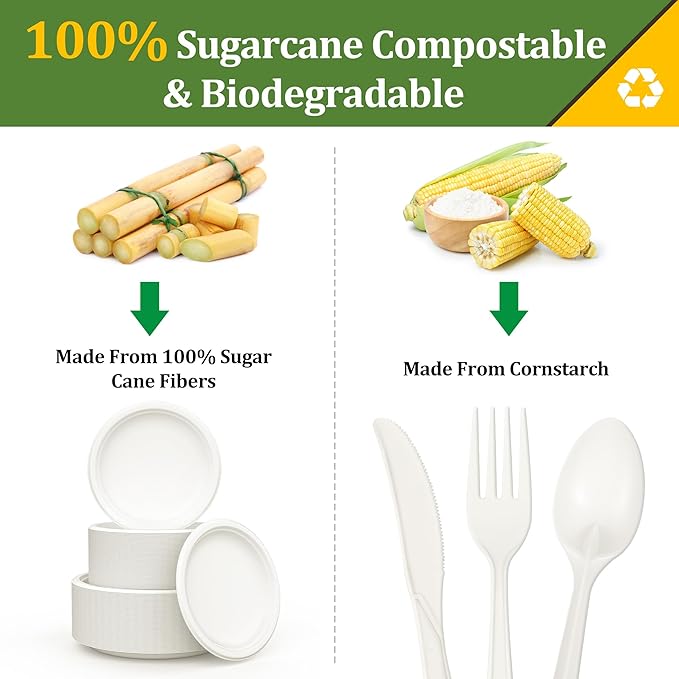 250PCS Disposable Paper Plates Set and Utensils, Compostable Dinnerware 9 and 7inch Plates, Biodegradable Paper Plates, Forks, Knives and Spoons for Party 50 People