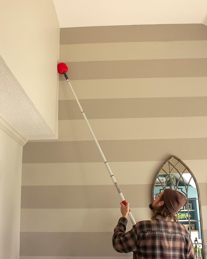 Pole and Cobweb Duster