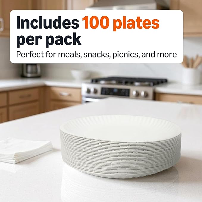 Amazon Basics 9" Uncoated White Paper Plates 3 Pack (300 count)
