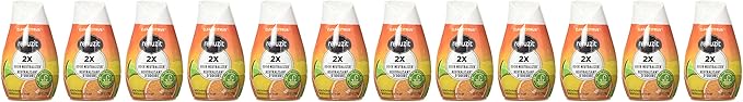 Renuzit Citrus Sunburst Air Freshener 7.0 oz (Pack of 12)