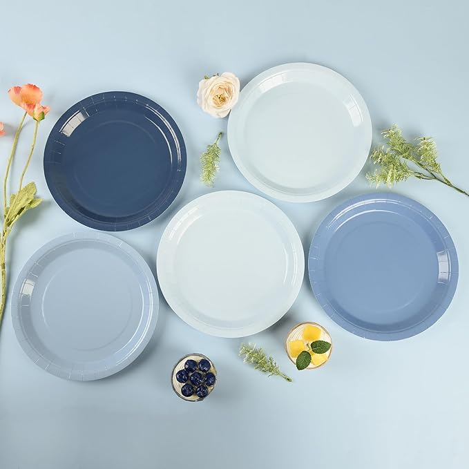 AimFun Dusty Blue Paper Plates Hanukkah Gradient Blue Party Plate 9 Inch Disposable Round Dinner Dessert Plates for Father’s Day Wedding Baby Bridal Shower Party Supplies Tableware Decor
