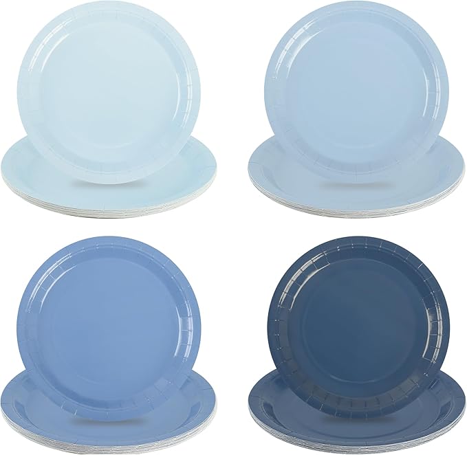 AimFun 48Pcs Dusty Blue Paper Plates Gradient Blue Party Plates 9 Inch Disposable Pastel Birthday Plates Round Dinner Dessert Plates for Wedding Baby Bridal Shower Party Supplies Tableware Decor