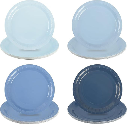 AimFun 48Pcs Dusty Blue Paper Plates Gradient Blue Party Plates 9 Inch Disposable Pastel Birthday Plates Round Dinner Dessert Plates for Wedding Baby Bridal Shower Party Supplies Tableware Decor