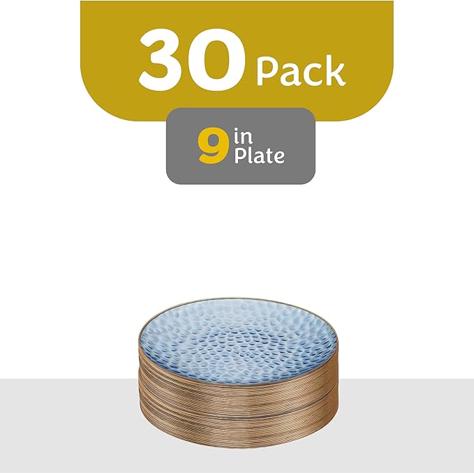 PLASTICPRO 30 Pack Hammered Plastic Plates Heavyweight Disposable Plastic Plates Elegant Clear Hammered Rim Platsic Party Dishes (Blue With Gold Rim, 9'' INCH PLATES)