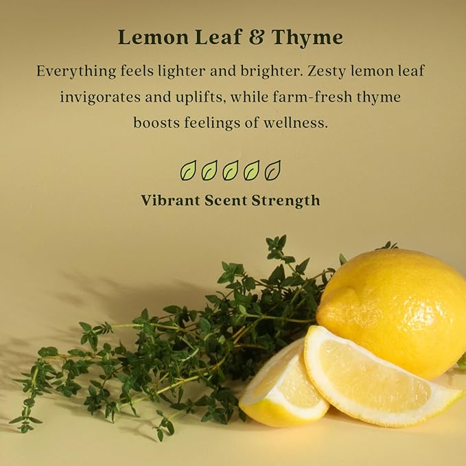 Enviroscent Non-Toxic Air Freshener Scent Stix™ Refills - Compatible with Enviroscent Scent Stix™ Liquid-Free Diffuser Kit - Fragrance Lasts Up to 60 Days - Lemon Leaf & Thyme (Pack of 2)