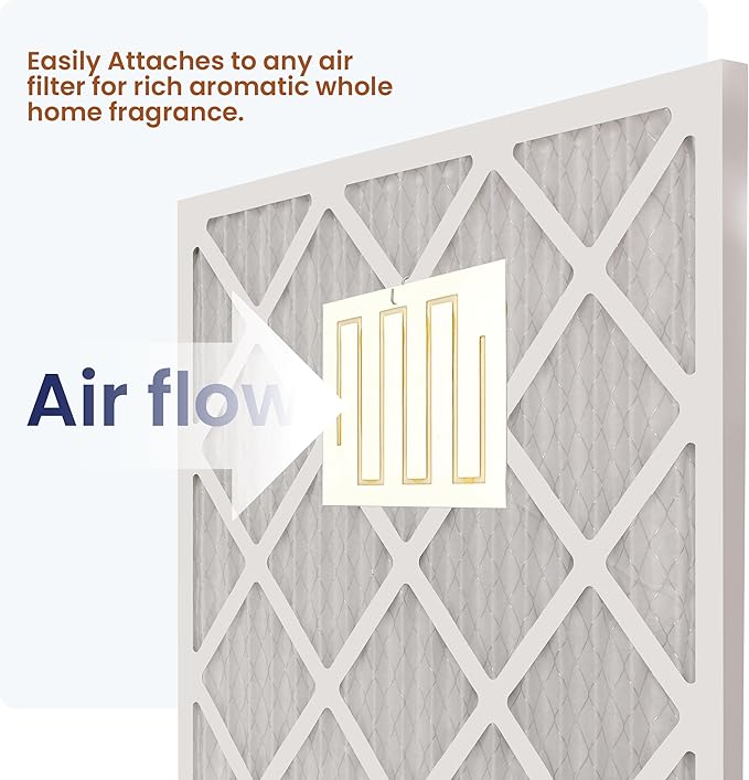 WEB FilterFresh Whole Home Cinnamon Air Freshener 0.8 Ounce (Pack of 1)