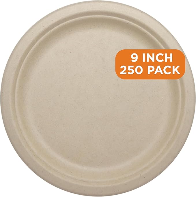 World Centric Compostable Round Paper Plates, 9" (Pack of 250), Made from Unbleached Plant Fiber, Sustainable, Heavy Duty, Grease Resistant, Microwave & Freezer Safe, PFAS Free
