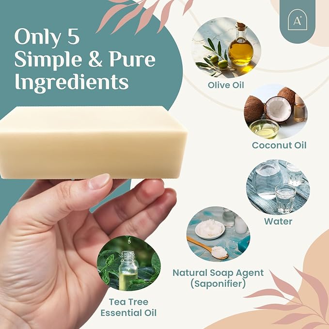 Natural Dish Soap Bar, Cleaning Dishes Solid Block for Kitchen - Organic Biodegradable Dishwashing, only 5 Ingredients, Gentle on Hands - Spring Scent (3 Pack, 19oz)