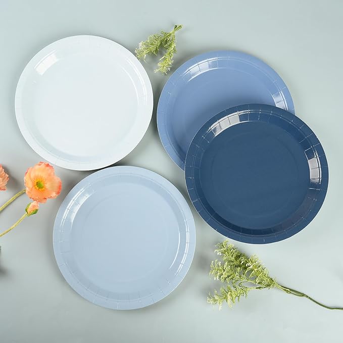 AimFun Dusty Blue Paper Plates Hanukkah Gradient Blue Party Plate 9 Inch Disposable Round Dinner Dessert Plates for Father’s Day Wedding Baby Bridal Shower Party Supplies Tableware Decor