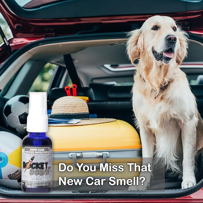 Rocket Scent - Oil Air Fresheners + Odor & Smoke Eliminator + Home, Car, Office, Bathroom Deodorizer + New Car, Mango, Fresh Linen, Powder Scent + Assorted 4 Pack