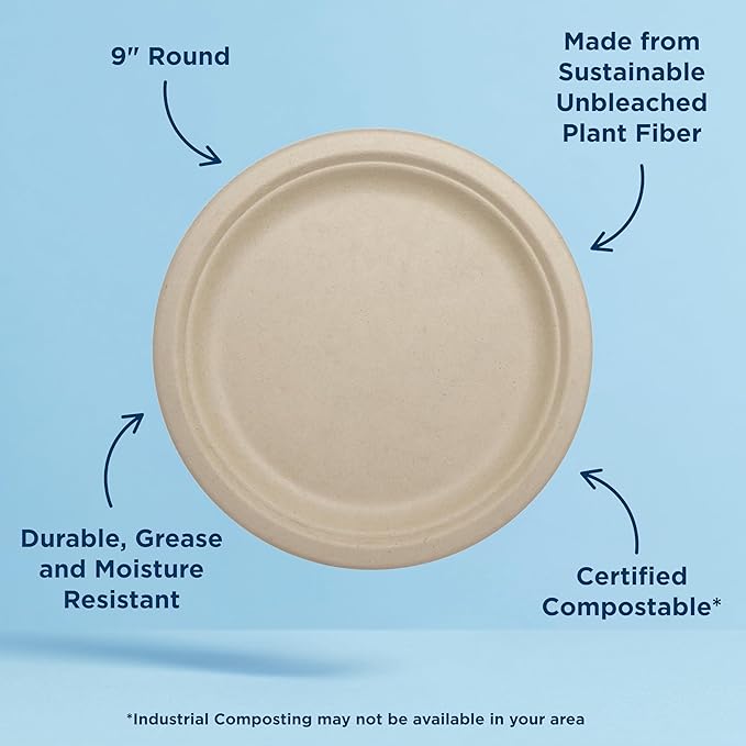 World Centric Compostable Round Paper Plates, 9" (Pack of 250), Made from Unbleached Plant Fiber, Sustainable, Heavy Duty, Grease Resistant, Microwave & Freezer Safe, PFAS Free