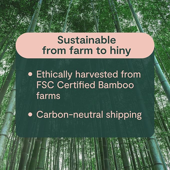 ecoHiny Premium & Soft Bamboo Toilet Paper | PFAS Free | 12 Mega Rolls, 3 ply & 350 Sheets | Non Toxic, FSC Certified, Septic Safe, BPA Free | Tree Free Toilet Tissue | Plastic Free Packaging