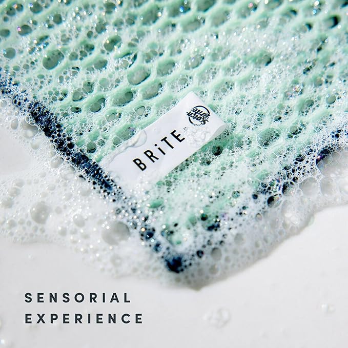 Brite by Scotch-Brite Limited Edition 4-Piece Scrub and Wipe Collection with 1 Rich-Foaming Dish Scrubber, 1 Quick-Dry Mesh Scrubber, and 2 Reusable Sponge Cloths (Pack of 4)
