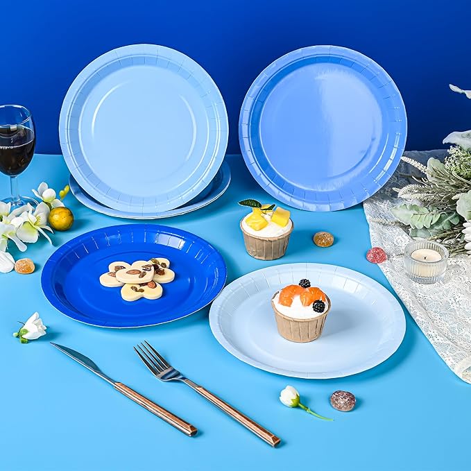 AimFun 24Pcs Blue Party Plates Gradient Blue Paper Plates 9 Inch Disposable Round Dinner Dessert Plate for Summer Beach Ocean Birthday Wedding Baby Shower Hanukkah Party Supplies