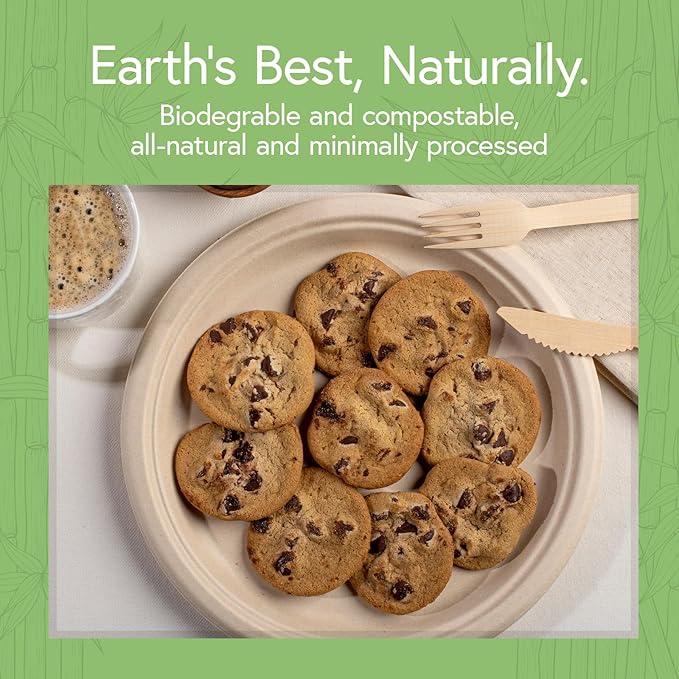 Bamboo Paper Disposable Plates with Compartment (500-Pack, 9-inch) - Sturdy & Microwave Safe | Disposable Sectioned Plates | PFAS Free, Biodegradable | FSC Certified Alternative to Plastic