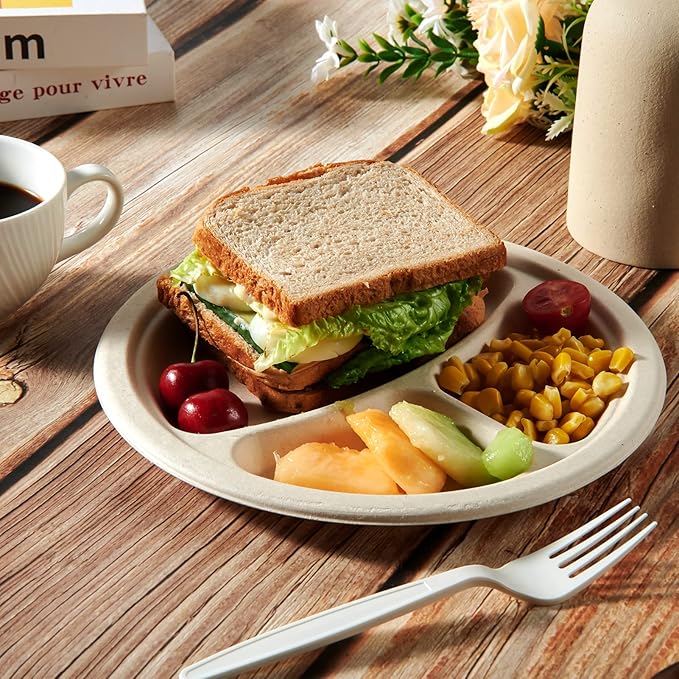 Vplus 100% Compostable Paper Plates, 125 Pack 9 Inch 3 Compartment Plates Disposable, Heavy Duty Biodegradable Plates Made of Sugar Cane Fibers, for Daily meals, Dinner, Parties, BBQ