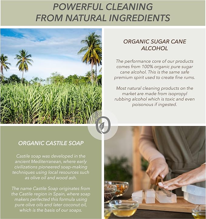 Non-Toxic Kitchen Cleaner 3 Pack (Stone, Steel, Glass) - Natural Organic Ingredients that Truly Perform - Light Coconut, Tea Tree & Wood Scent